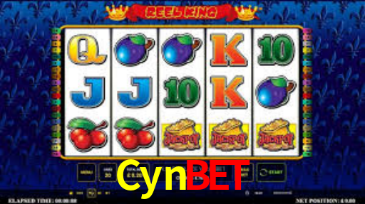 Premium Interface Cynbet